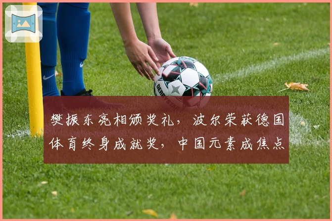 樊振东亮相颁奖礼，波尔荣获德国体育终身成就奖，中国元素成焦点